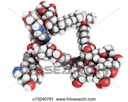 Palytoxin molecule. Computer model of the soft coral toxin, palytoxin. Atoms are represented as spheres and are colour-coded; carbon (grey), hydrogen (white), nitrogen (blue) and oxygen (red). View Large Photo Image Stock Image - Palytoxin molecule. Computer model of the soft coral toxin, palytoxin. Atoms are represented as spheres and are colour-coded; carbon (grey), hydrogen (white), nitrogen (blue) and oxygen (red).. Fotosearch