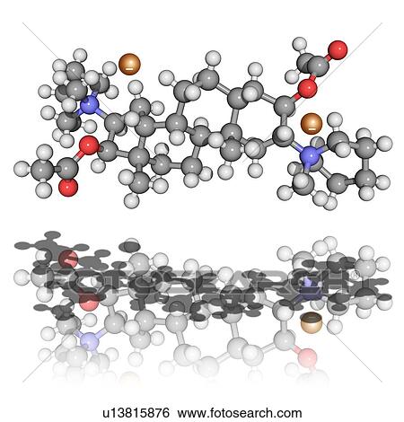 Stock Photograph - Pancuronium bromide, molecular model. This muscle relaxant is one of the cocktail of drugs given during lethal injections in the USA. Atoms are represented as spheres and are colour-coded: carbon (grey), hydrogen (white), nitrogen (blue), oxygen (red) and. Fotosearch