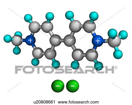 Paraquat, molecular model. This is a non-selective herbicide. Atoms are represented as spheres and are colour-coded: carbon (white), hydrogen (turquoise), nitrogen (dark blue) and chlorine ions (green). View Large Photo Image Stock Image - Paraquat, molecular model. This is a non-selective herbicide. Atoms are represented as spheres and are colour-coded: carbon (white), hydrogen (turquoise), nitrogen (dark blue) and chlorine ions (green).. Fotosearch