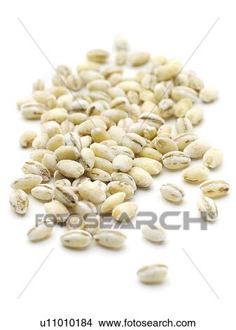 Pearl barley. View Large Photo Image Picture - Pearl barley.. Fotosearch