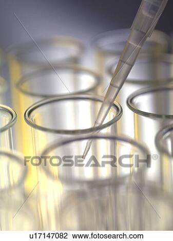 Stock Image - Pipetting liquid into a test tube.. Fotosearch