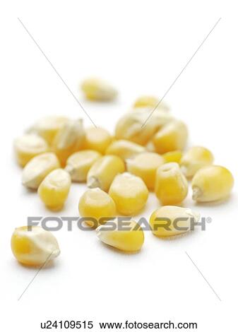 Popping corn. View Large Photo Image Stock Photography - Popping corn.. Fotosearch