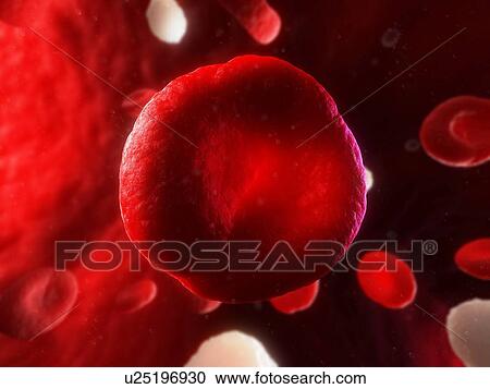 Red blood cell, computer artwork. View Large Photo Image Stock Image - Red blood cell, computer artwork.. Fotosearch