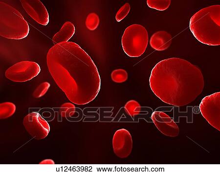 Red blood cells (erythrocytes), computer artwork. View Large Photo Image Stock Image - Red blood cells (erythrocytes), computer artwork.. Fotosearch