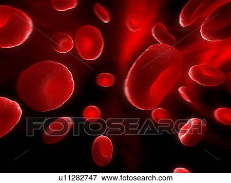 Red blood cells (erythrocytes), computer artwork. View Large Photo Image Stock Photo - Red blood cells (erythrocytes), computer artwork.. Fotosearch