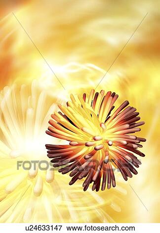 Retrovirus particle, computer artwork. View Large Photo Image Stock Photo - Retrovirus particle, computer artwork.. Fotosearch