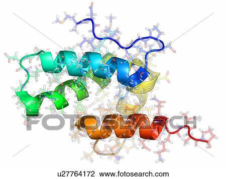 Rous sarcoma virus capsid protein, molecular model. View Large Photo Image Stock Image - Rous sarcoma virus capsid protein, molecular model.. Fotosearch