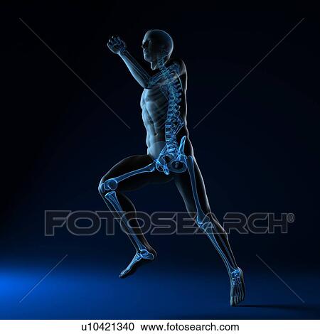 Stock Image - Running skeleton, computer artwork.. Fotosearch