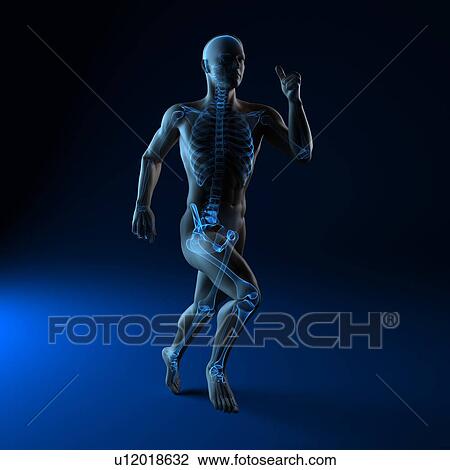 Stock Image - Running skeleton, computer artwork.. Fotosearch