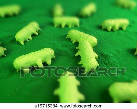 Salmonella sp. bacteria, computer artwork. View Large Photo Image Picture - Salmonella sp. bacteria, computer artwork.. Fotosearch