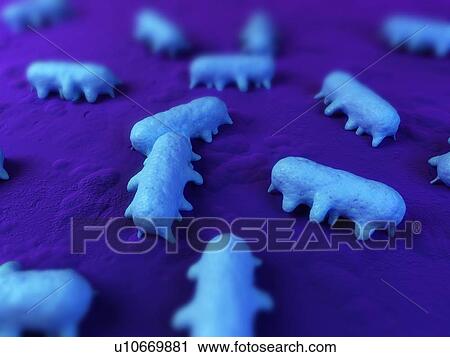 Salmonella sp. bacteria, computer artwork. View Large Photo Image Stock Image - Salmonella sp. bacteria, computer artwork.. Fotosearch
