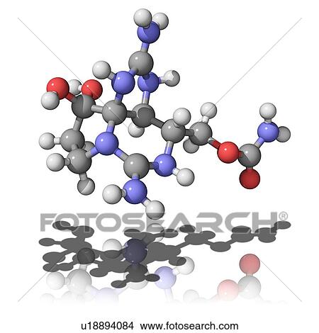 Picture - Saxitoxin, molecular model. This neurotoxin is produced by some marine dinoflagellates and cyanobacteria. Atoms are represented as spheres and are colour-coded: carbon (grey), hydrogen (white), oxygen (red) and nitrogen (blue).. Fotosearch
