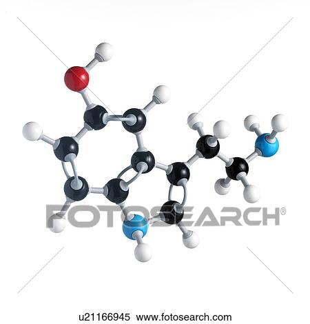 Stock Photography - Serotonin neurotransmitter molecule. Atoms are represented as spheres and are colour-coded: carbon (black), hydrogen (white), nitrogen (blue) and oxygen (red).. Fotosearch