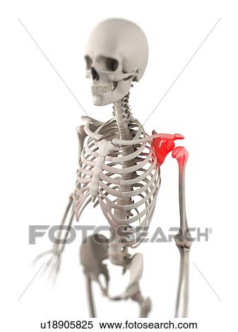 Shoulder pain, conceptual computer artwork. View Large Photo Image Stock Photography - Shoulder pain, conceptual computer artwork.. Fotosearch