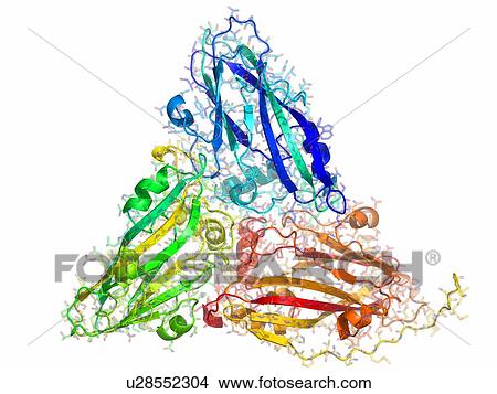Picture - Southern bean mosaic virus capsid protein, molecular model.. Fotosearch