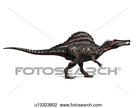 Stock Image - Spinosaurus dinosaur, computer artwork. This dinosaur lived 95 to 80 million years ago during the Late Cretaceous period.. Fotosearch