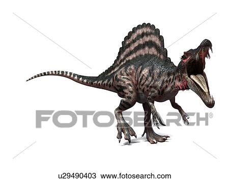 Stock Image - Spinosaurus dinosaur, computer artwork. This dinosaur lived 95 to 80 million years ago during the Late Cretaceous period.. Fotosearch