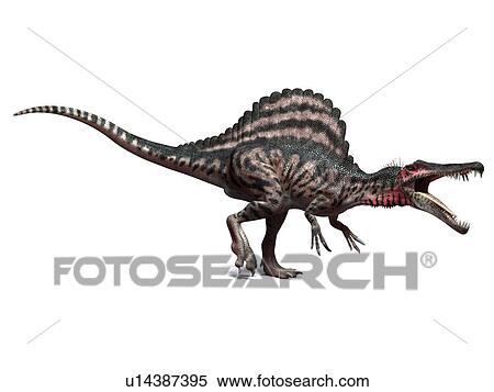 Stock Photography - Spinosaurus dinosaur, computer artwork. This dinosaur lived 95 to 80 million years ago during the Late Cretaceous period.. Fotosearch
