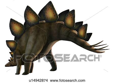 dinosaur with bony plates on its back