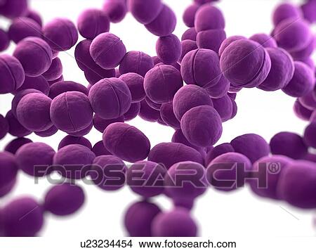 Streptococcus bacteria, computer artwork. View Large Photo Image Picture - Streptococcus bacteria, computer artwork.. Fotosearch
