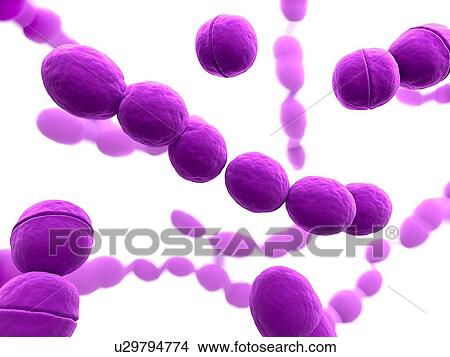 Streptococcus bacteria, computer artwork. View Large Photo Image Picture - Streptococcus bacteria, computer artwork.. Fotosearch