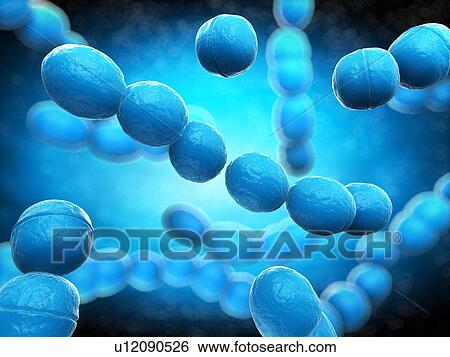 Streptococcus bacteria, computer artwork. View Large Photo Image Stock Photograph - Streptococcus bacteria, computer artwork.. Fotosearch