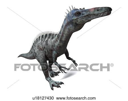 Stock Image - Suchomimus dinosaur, computer artwork. This dinosaur lived 110 to 120 million years ago during the middle of the Cretaceous period.. Fotosearch