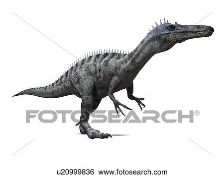Stock Photograph - Suchomimus dinosaur, computer artwork. This dinosaur lived 110 to 120 million years ago during the middle of the Cretaceous period.. Fotosearch