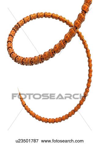Stock Photo - Surgical snake robot, conceptual computer artwork.. Fotosearch