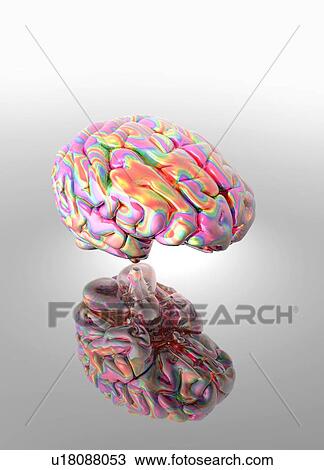 Stock Image - Synaesthesia, conceptual computer artwork.. Fotosearch