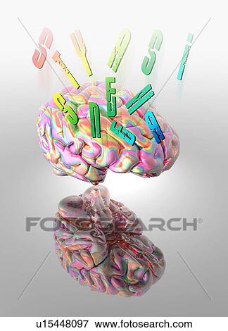 Stock Photo - Synaesthesia, conceptual computer artwork.. Fotosearch