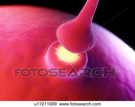 Synapse, computer artwork. View Large Photo Image Stock Photo - Synapse, computer artwork.. Fotosearch