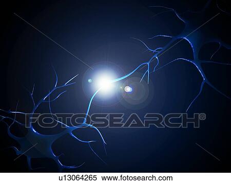 Synapse, computer artwork. View Large Photo Image Stock Photography - Synapse, computer artwork.. Fotosearch