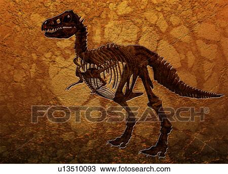 Stock Image - T rex fossil, computer artwork.. Fotosearch