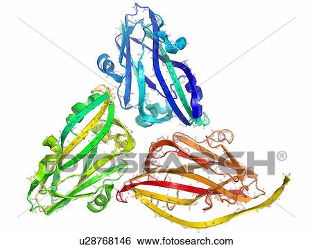 Tobacco necrosis virus capsid proteins, molecular model. View Large Photo Image Stock Photograph - Tobacco necrosis virus capsid proteins, molecular model.. Fotosearch