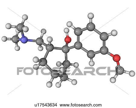 Tramadol, molecular model. This is a synthetic opioid analgesic (painkiller) drug. Atoms are represented as spheres and are colour-coded: carbon (grey), hydrogen (white), nitrogen (blue) and oxygen (red). View Large Photo Image Picture - Tramadol, molecular model. This is a synthetic opioid analgesic (painkiller) drug. Atoms are represented as spheres and are colour-coded: carbon (grey), hydrogen (white), nitrogen (blue) and oxygen (red).. Fotosearch
