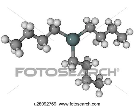 Stock Photo - Tributyltin, molecular model. This is the active ingredient in a number of biocides. Atoms are represented as spheres and are colour-coded: carbon (grey), hydrogen (white) and tin (green).. Fotosearch