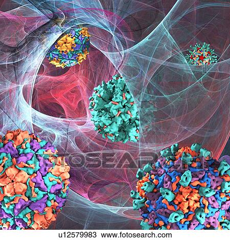 Viral infection, conceptual computer artwork. View Large Photo Image Stock Image - Viral infection, conceptual computer artwork.. Fotosearch