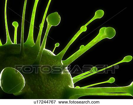Virus, conceptual image. View Large Photo Image Stock Photo - Virus, conceptual image.. Fotosearch