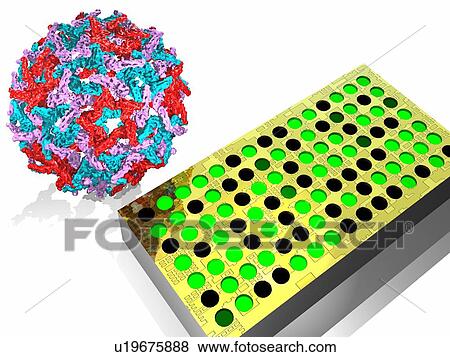 Stock Photo - Virus research. Computer artwork of a virus and a biochip.. Fotosearch