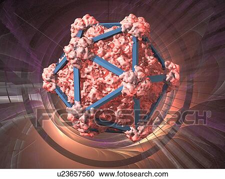 Virus structure, conceptual computer artwork. View Large Photo Image Stock Image - Virus structure, conceptual computer artwork.. Fotosearch