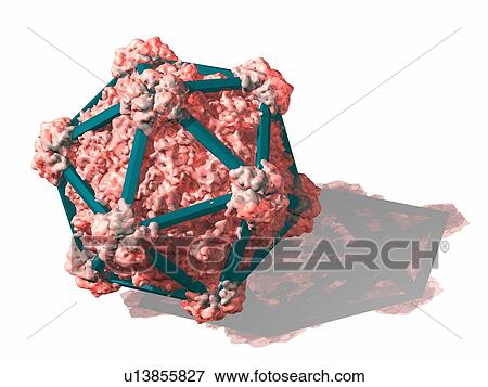 Stock Photo - Virus structure, conceptual computer artwork.. Fotosearch