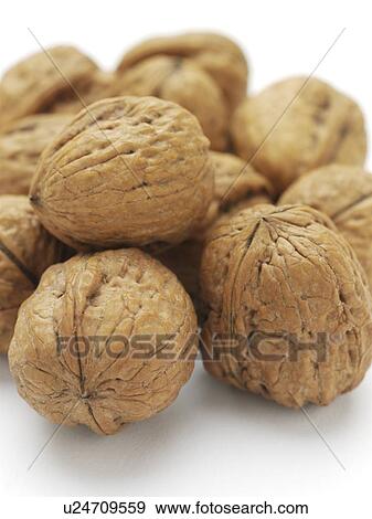 Walnuts. View Large Photo Image Stock Photo - Walnuts.. Fotosearch