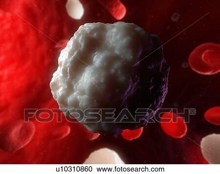 White blood cell, computer artwork. View Large Photo Image Stock Image - White blood cell, computer artwork.. Fotosearch