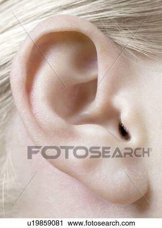 Stock Image - Woman's ear.. Fotosearch