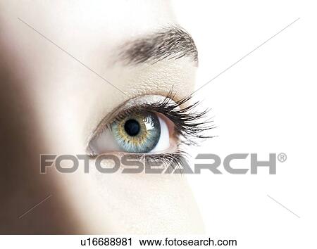 Woman's eye. View Large Photo Image Stock Image - Woman's eye.. Fotosearch