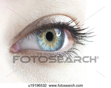 Stock Image - Woman's eye.. Fotosearch