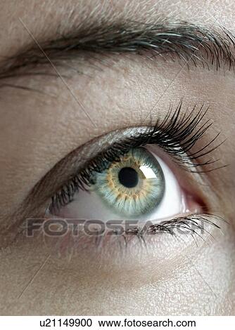 Woman's eye. View Large Photo Image Stock Image - Woman's eye.. Fotosearch