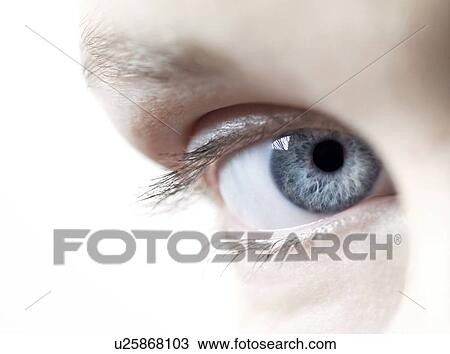 Woman's eye. View Large Photo Image Stock Image - Woman's eye.. Fotosearch