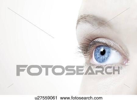 Woman's eye. View Large Photo Image Stock Image - Woman's eye.. Fotosearch
